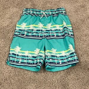 Sporto Teal and White Swim Shorts